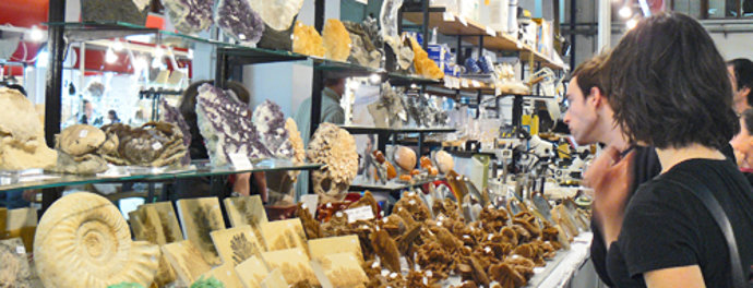 Asistentes en Expominer