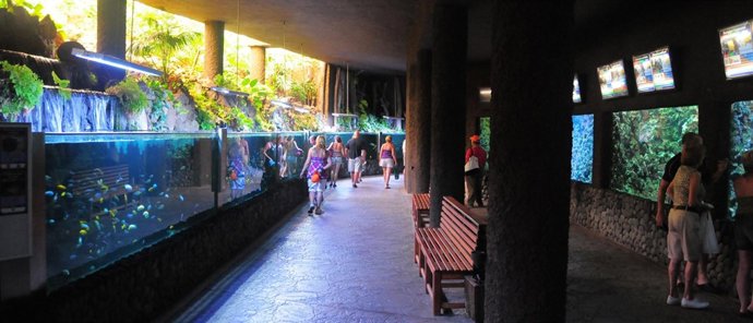 Acuario de Palmitos Park