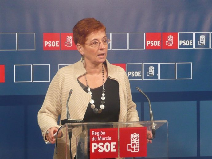 García Retegui en rueda de prensa