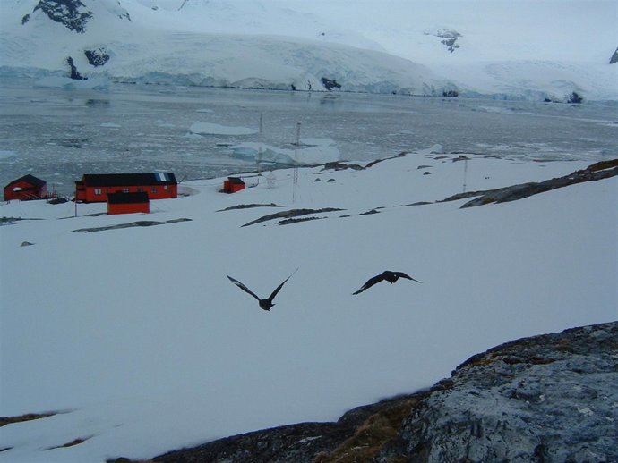 fotografía de la base 