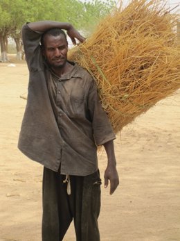hombre Chad agricultor pobreza áfrica