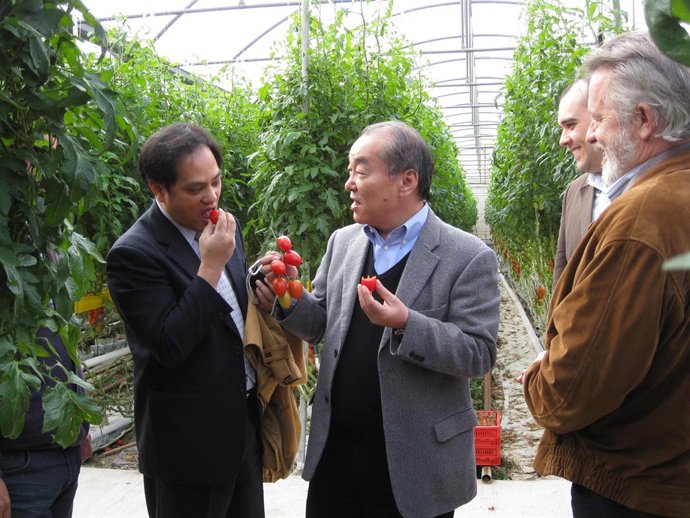 Una empresa japonesa visita invernadero de última generación en Almería.