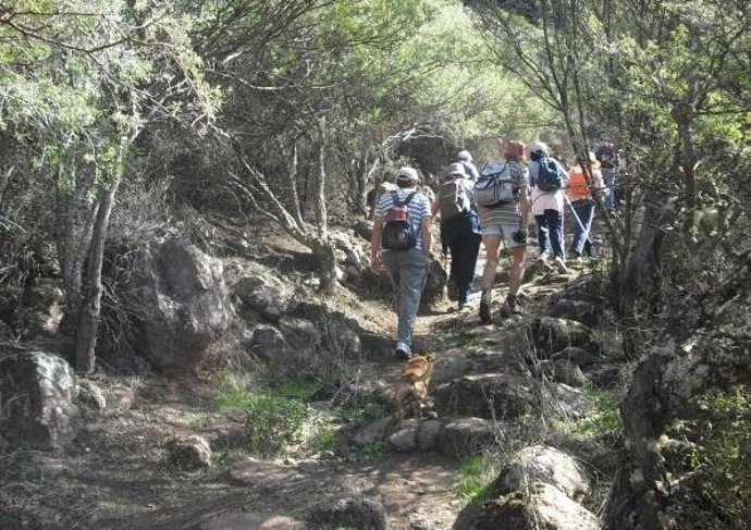 La laurisilva se está viendo afectada por el cambio climático