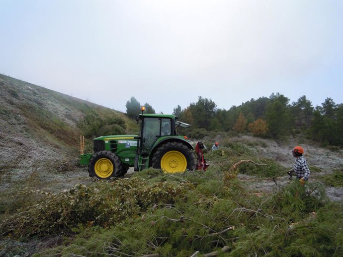 Trabajos de desbrozado en el Eix Transversal