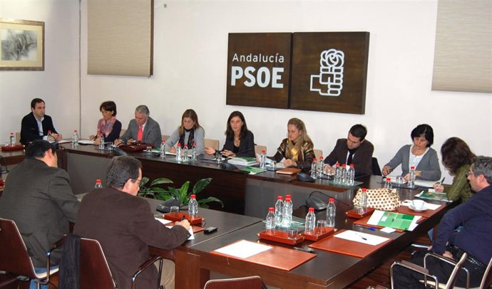 PSOE De Andalucía: Nota Y Foto Reunión Programa Marco Electoral