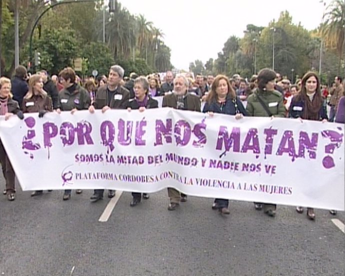 Miles de personas se manifiestan en Córdoba contra la violencia de género