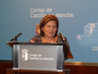 Cortes apelan a la "complicidad" de la sociedad para erradicar comportamientos sexistas sea del ámbito que sean