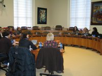 Los grupos abogan por alcanzar "lugares comunes" pese a sus discrepancias para avanzar la violencia de género