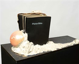 Imagen de la exposición Atlas en el Museo Reina Sofia