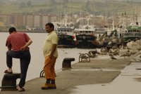 La Consejería de Pesca concede ayudas por más de 173.000 euros a las Cofradías de Pescadores de la Comunidad Autónoma