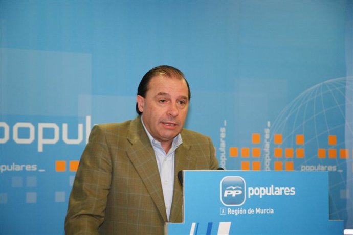 El diputado nacional por Murcia y portavoz de Presupuestos del PP en el Congreso