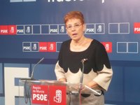 PSOE pide el cese de consejera de Economía porque "nos ha llevado a una situación de ruina y de futuro más que incierto"