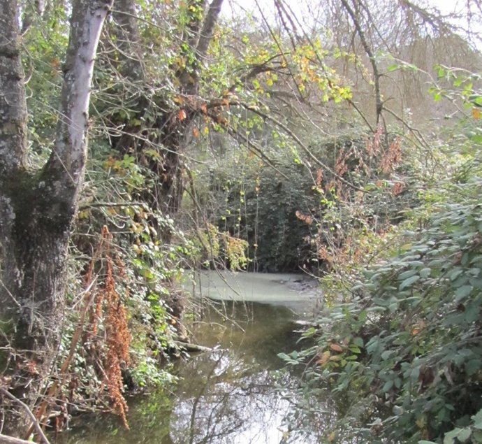 3. Vertido Aguas Fecales Monte Pardo