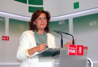 PSOE-A considera que no se puede hacer una lectura comparativa entre Cataluña y Andalucía