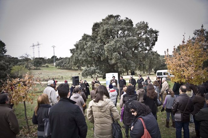 Campaña 'Plántemos un árbol por el Párkinson' en Madrid