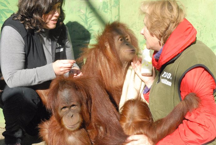 Despedida de Silvestre en el Zoo de Santillana