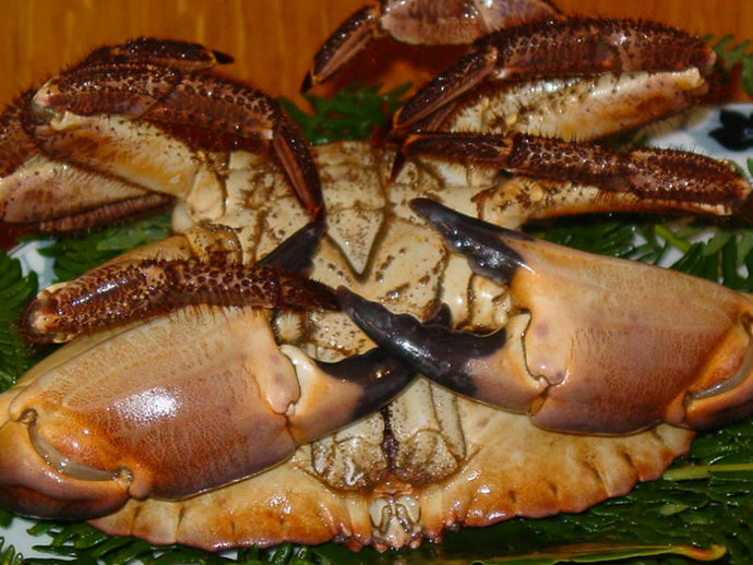 Xornadas de exaltación da centola