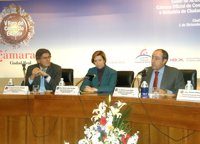 Araújo cree que el planteamiento del PP sobre al aeropuerto de Ciudad Real se "escapa" del marco constitucional