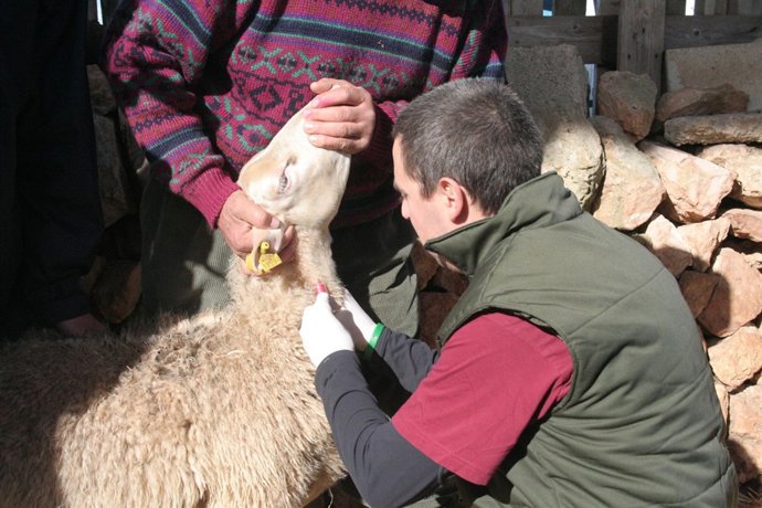 Més Fotos Visita Explotació Ramadera