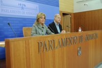 El PP-A pedirá en el Parlamento que se realice una auditoria independiente sobre las empresas públicas y fundaciones