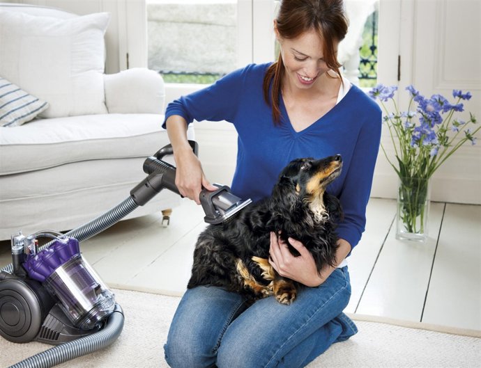 Cepillo revolucionario Dyson Groom para perros 