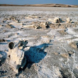 desierto cambio climático Monegros