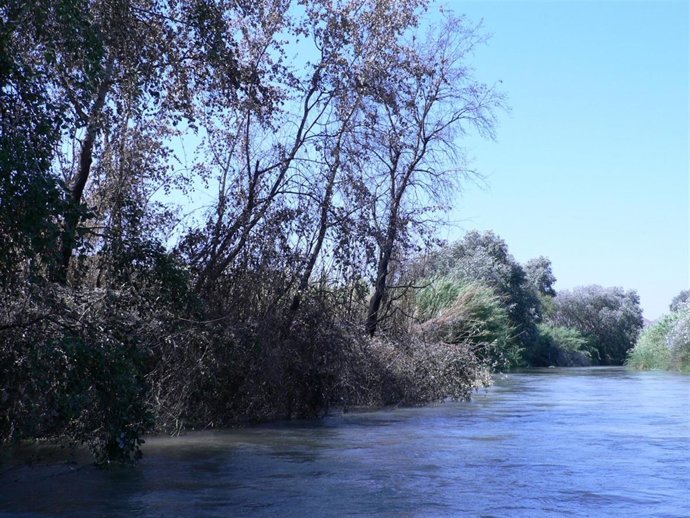 La asociación RíoRíe manifiesta su oposición al entubamiento de caudales del Río