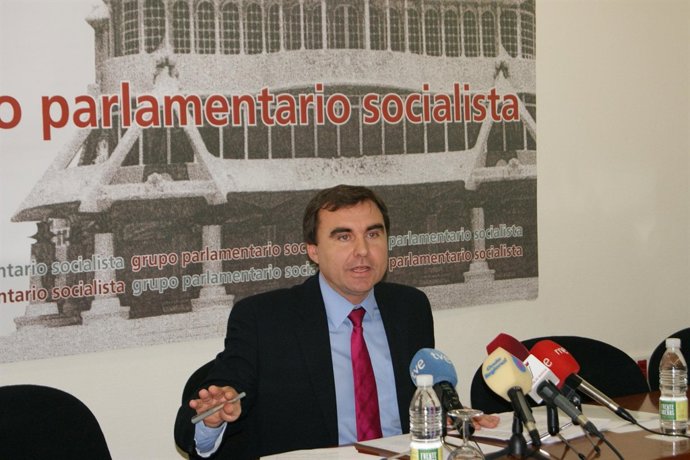 El viceportavoz del Grupo Parlamentario Socialista, Mariano García
