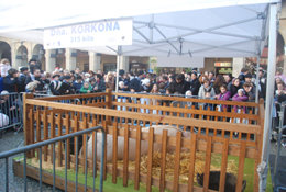 Feria de Santo Tomás.