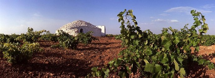 Foto de la ruta de vino