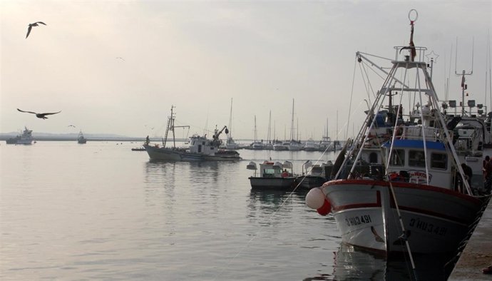 Barcos pesqueros en Huelva