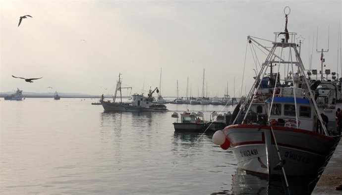 Barcos pesqueros en Huelva