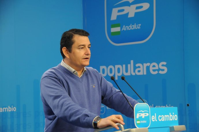 Rueda de prensa de Sanz