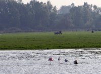 La ampliación de Doñana propuesta protegería más de 121.000 hectáreas