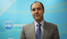 Ignacio Diego, líder del PP cántabro. 