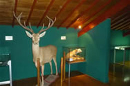 Museo Naturaleza Carrejo