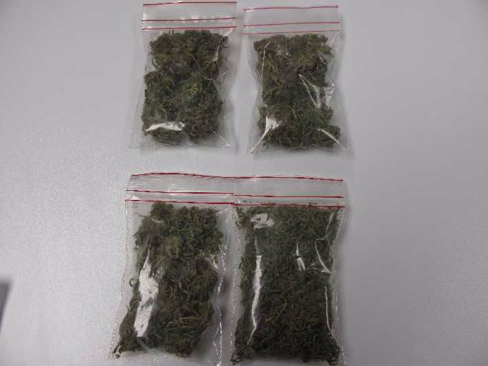 La Policía Foral encontró varias bolsas de marihuana listas para la venta.