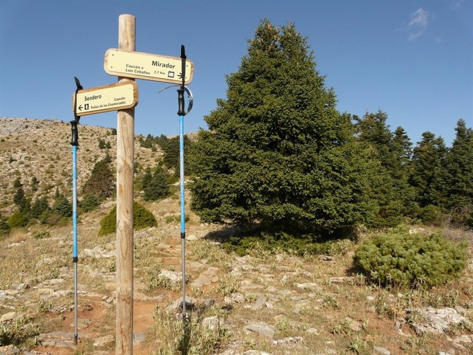 Una de las rutas en el Parque Natural Sierra de las Nieves