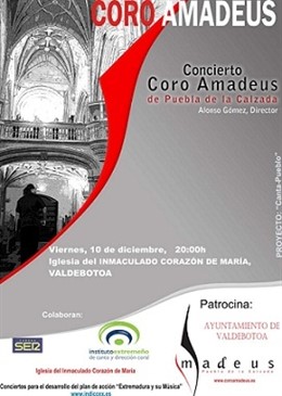 Cartel Coro Amadeus