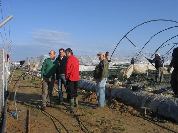 UN TORNADO CAUSA GRAVES DAÑOS EN MUCHAS EXPLOTACIONES AGRARIAS DE LA LOCALIDAD