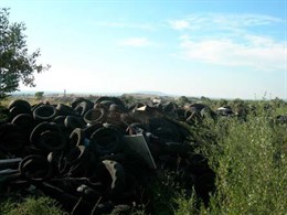 Circuito Son Matamoros