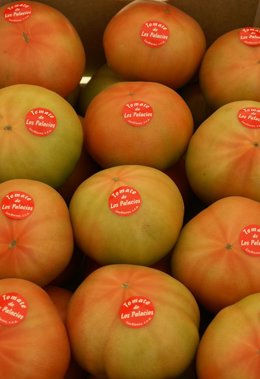 Tomates de Villafranca y Los Palacios