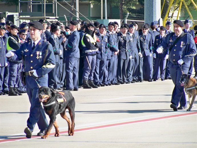 Sección de Guías y Perros Policía, en la Base Aérea de Zaragoza