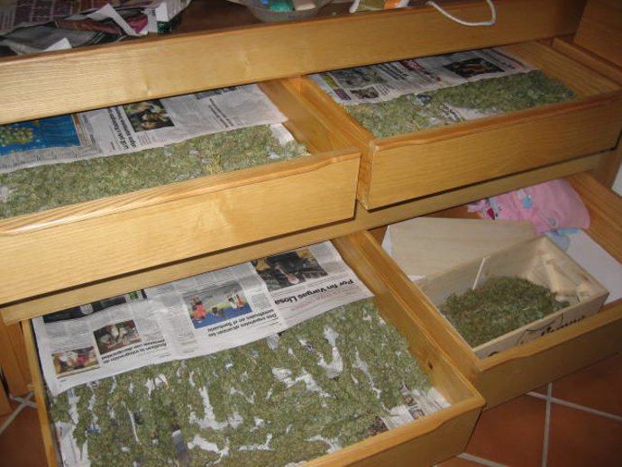 Rdo Nota Prensa Actuación Contra Tráfico Drogas (Marihuana)