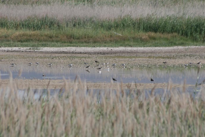 Parque Nacional de Las Tablas de Daimiel