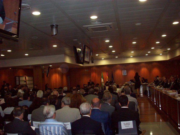 Juicio del caso Malaya en Marbella