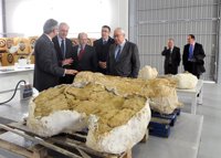 Ibercaja aportará 47.000 euros para investigar los fósiles del dinosaurio gigante encontrado en un yacimiento de Riodeva