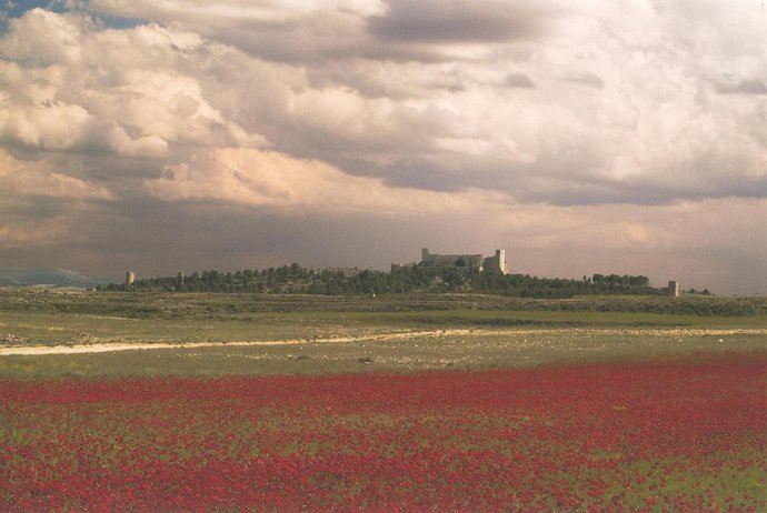 Obra ganadora de un accésit por la provincia de Zaragoza