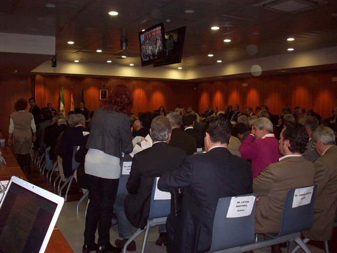 Un momento del juicio 'Malaya'