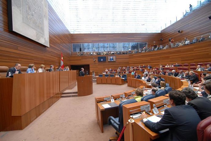 Pleno de las Cortes de Castilla y León